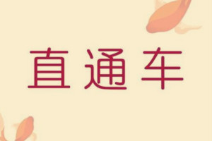 如何優(yōu)化直通車投產(chǎn)比